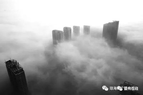 关于你的记忆都起雾（84集）
