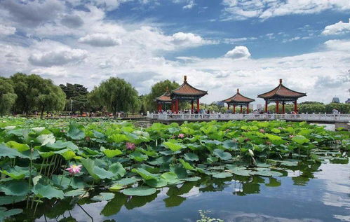 繁花之大时代，一部展现时代变迁的60集宏伟巨制