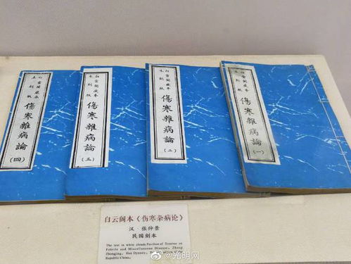 玄门医圣，医术与智慧的传世之作（102集深度解析）