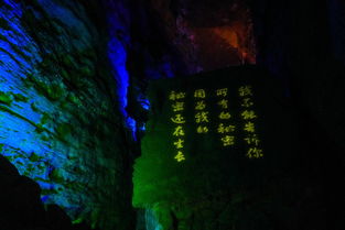 云中的秘密（40集）探寻云端之上的奇幻世界
