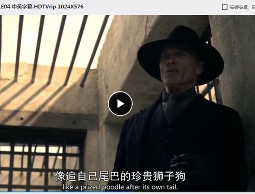 世界首富的纨绔少爷（78集）