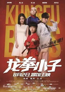龙拳，77集传奇的震撼力量