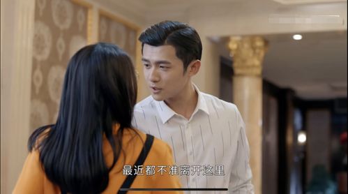 离婚前魂穿我老公（95集）