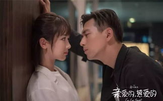 我的前夫是神医（集萃版），从裂痕中绽放的爱情与智慧之花