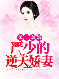 第一宠婚34集全集深度解析与观感分享