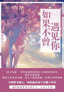 如果还能遇到你（84集）