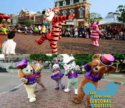 五个亿的奇妙之旅