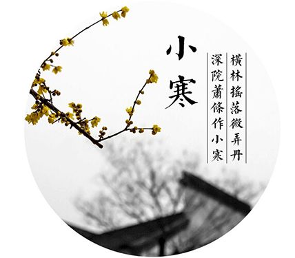 有我不该红颜真命薄（99集）——命运多舛中的坚韧与希望