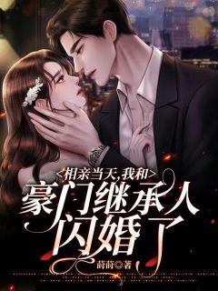分手当天，我意外闪婚了豪门继承人