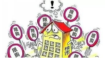 台当局要求公务机关不得使用DeepSeek遭讽，技术与政治之间的微妙平衡