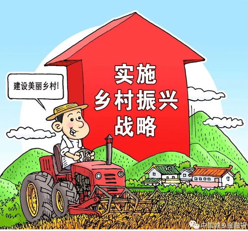 七兄弟共墙重建宅基地，家族团结与乡村振兴的典范