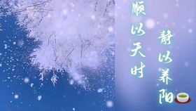 浪子回头，一场人生的蜕变之旅（80集）