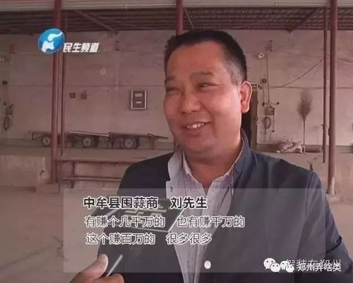 傻子老公竟是大佬富豪（71集）（1）