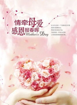 母爱三春晖（94集）