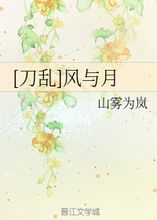 岚风知我意（38集）