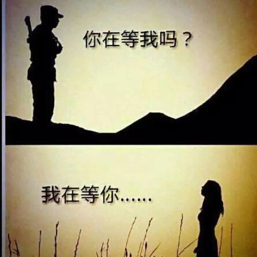 如果不爱，请别伤害——樊楚琦的60集故事