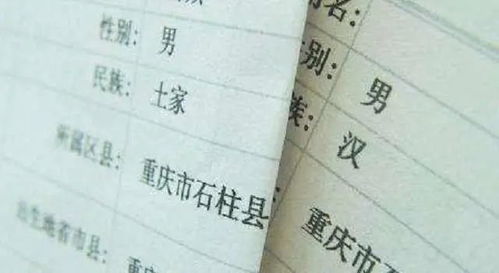 高考录取之衣锦还乡（第43集）