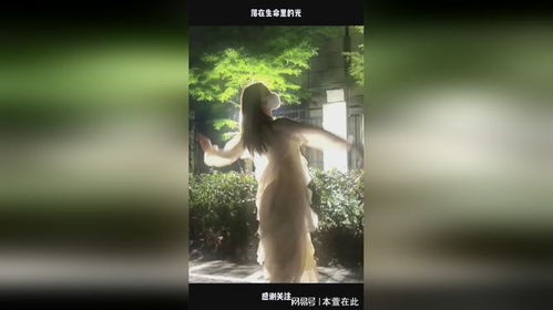 落在生命里的光（100集）