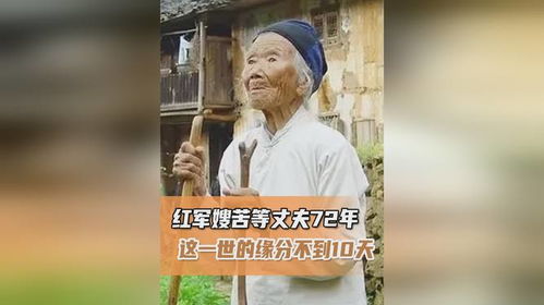赖上乞丐老公，命运交织的94集故事
