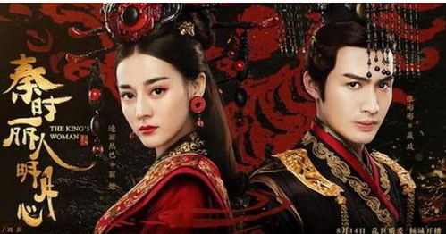 绝世神婿，传奇人生与非凡担当