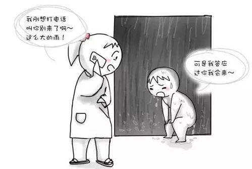 租个男友过大年（80集）