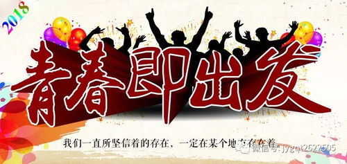 一代圣手，技艺传承与人生百态的100集史诗