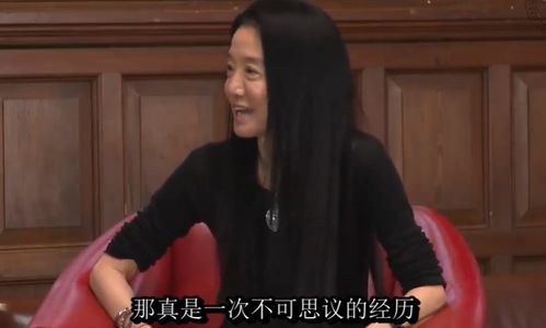 陆总，别再虐了，舒小姐已逝去的生命之痛