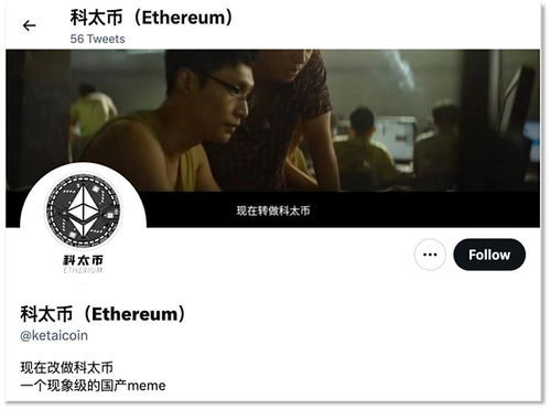 孤注一掷去爱你