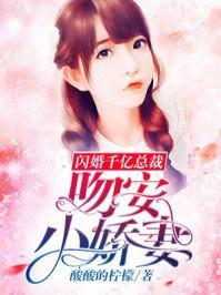 闪婚总裁小娇妻