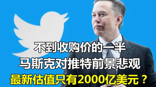 马斯克抨击美国国际开发署，揭示背后的真相与挑战