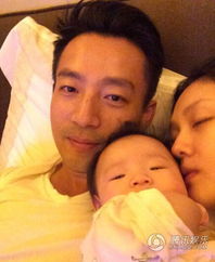 大S去世后儿女抚养权归谁，家庭、法律与情感的交织
