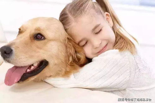 犬父虎子，深度解读一部跨越世代的家族传奇（81集）