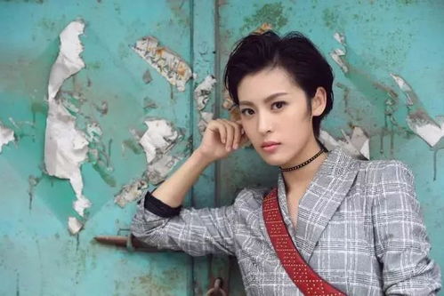 前妻的逆袭，重塑命运之轮（共80集）