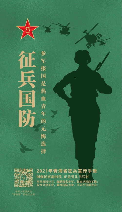 莫欺少年穷，追梦的热血青春（60集）