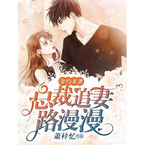 霍总追妻路漫漫（1至十集）