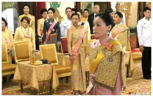归来后首富妈妈爆我马甲（88集）