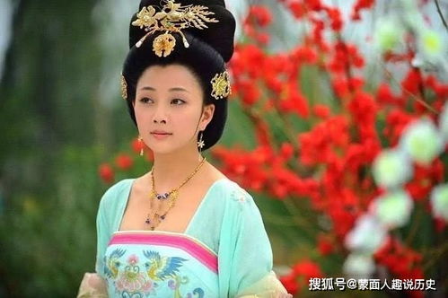 贵妃娘娘的职场指南——盛以婕的职场智慧之旅（80集）
