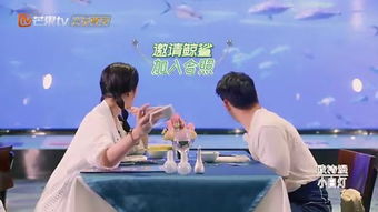 亿万盛宠，爱情的深度与广度（共96集）