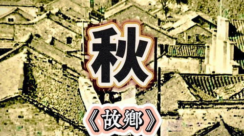 傻子拳神（第1-80集）深度解析