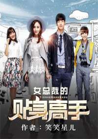 新篇章，女总裁的贴身高手（90集）
