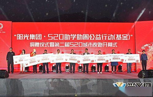 阳光照进小山村（杨景景篇）——一部温暖人心的故事（共60集）