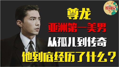 新版尊龙，深度解读97集传奇之作