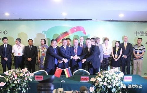 全集，深度探索与发现之旅