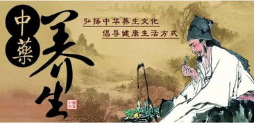 玄门医圣，医术与智慧的传世之作（102集深度解析）