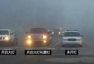 双闪告别，两车高速陪跑一段路程的温情瞬间