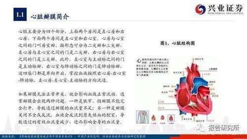 我知女人心（60集）深度解析