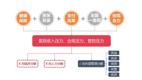 价（104集），深度解读与价值探索