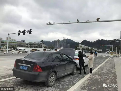 男子追尾前车，大哥不计较潇洒离去