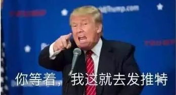 特朗普强推非法移民遣返计划，挑战与争议