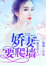 风华八零小娇妻，时光中的璀璨篇章（共80集）